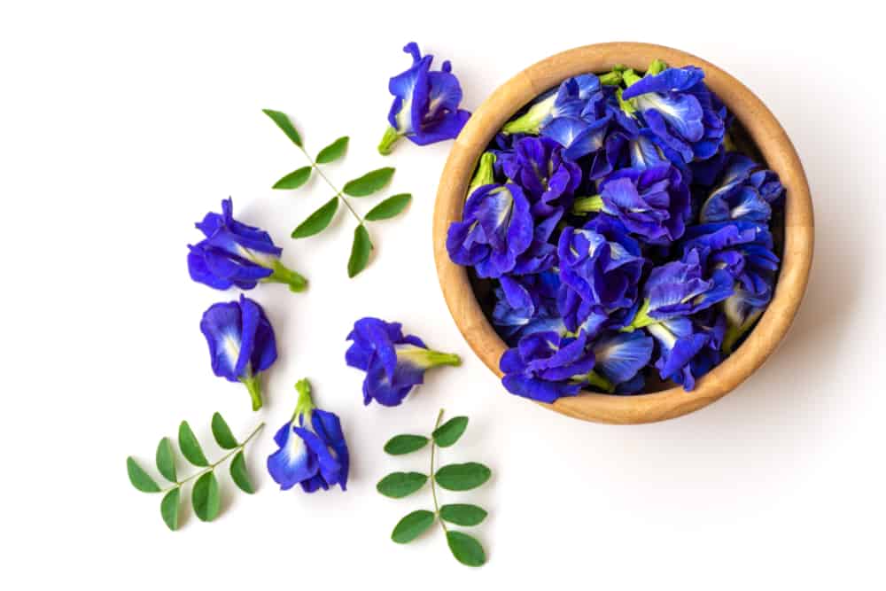 HOA ĐẬU BIẾC KHÔ TÚI 100GRAM