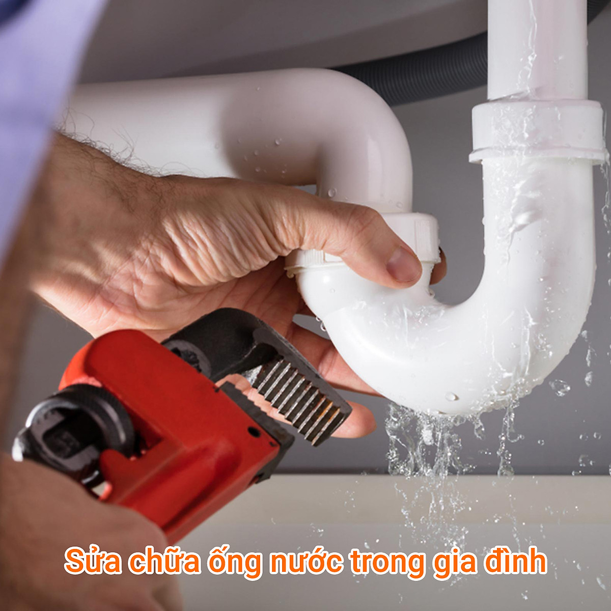[HCM]Kìm nước (mỏ lết răng- kìm cá sấu) 12 inch