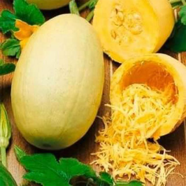 Gói 5 Hạt giống bí sợi vàng ( bí mì sợi)
