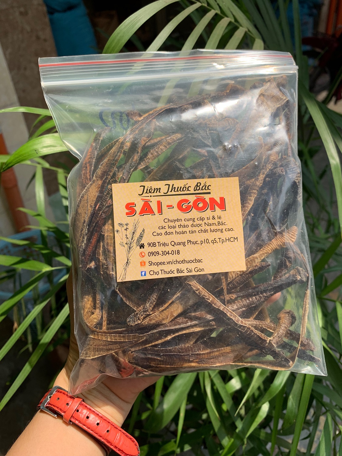 [HCM]Địa Long Khô Sạch Đẹp 100g
