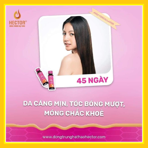 Nước đông trùng hạ thảo Hector collagen (Hộp 10 chai x 50ml)