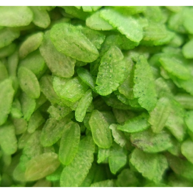 Cốm dẹp xanh 1kg