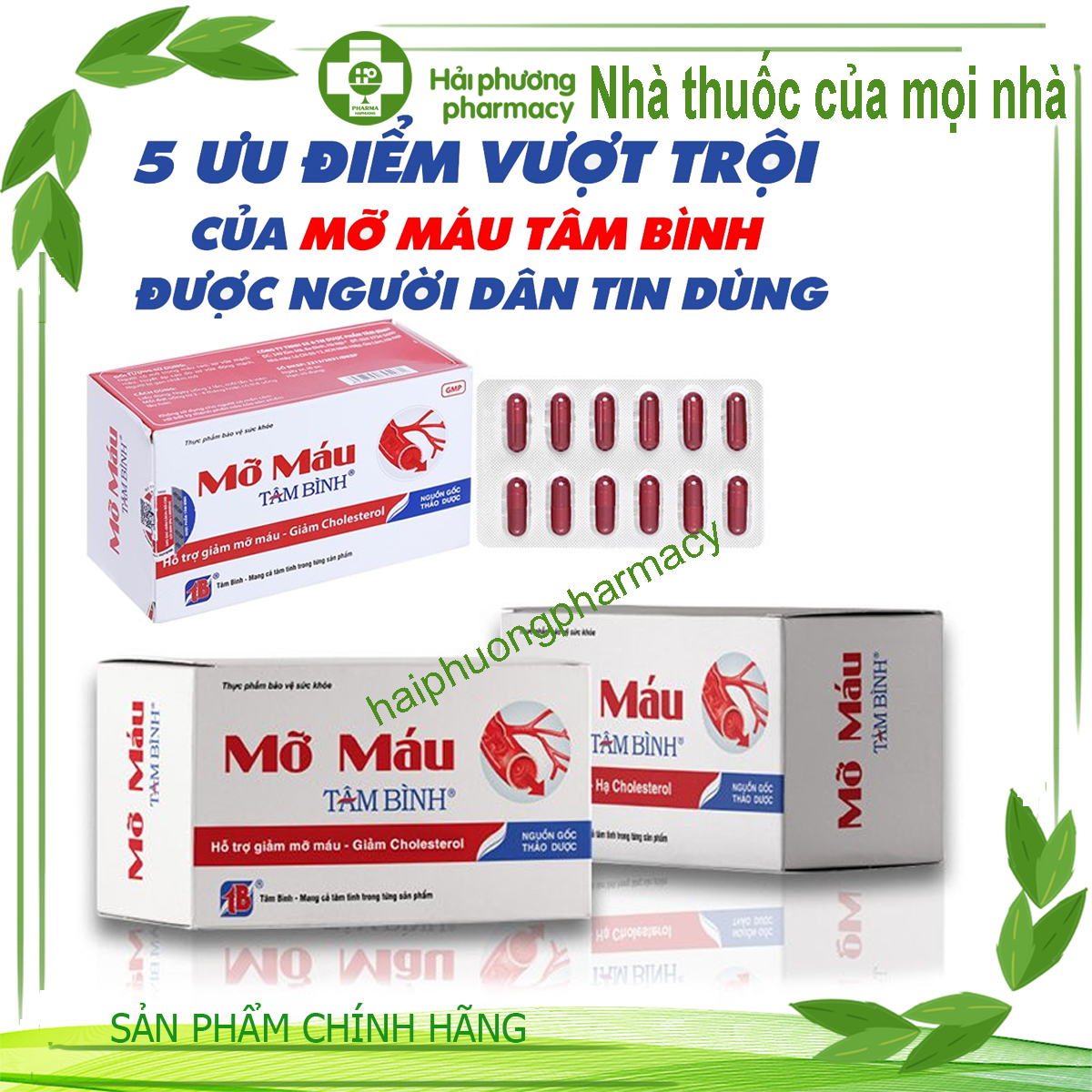Mỡ máu Tâm Bình - Hỗ trợ giảm mỡ máu, giảm mỡ gan