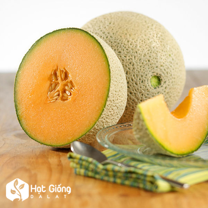 Hạt giống dưa lưới xanh ruột vàng 10 hạt