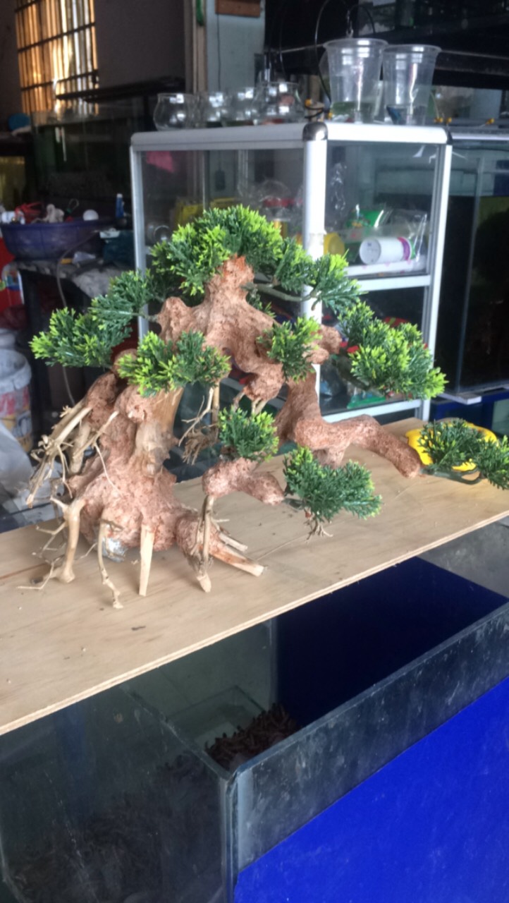 Lũa Bonsai loại trung Trang Trí Bể Cá - Bể Thủy Sinh (cao: 25cm rộng: 38cm)