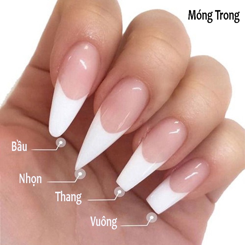 móng up HSM hộp 500 móng đủ size