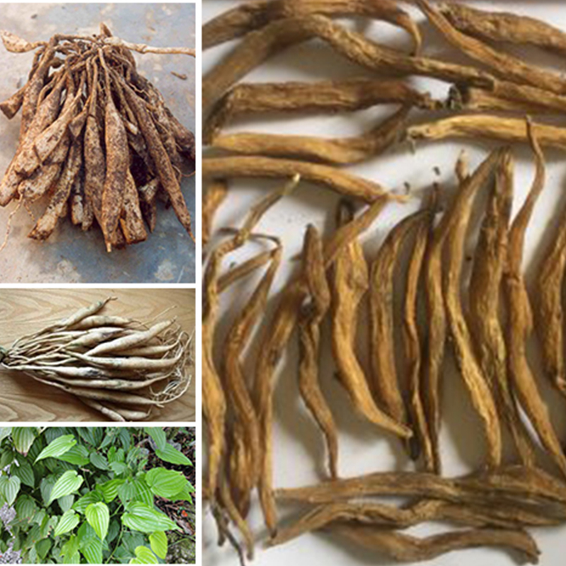 Củ bách bộ khô (1kg) - DB104