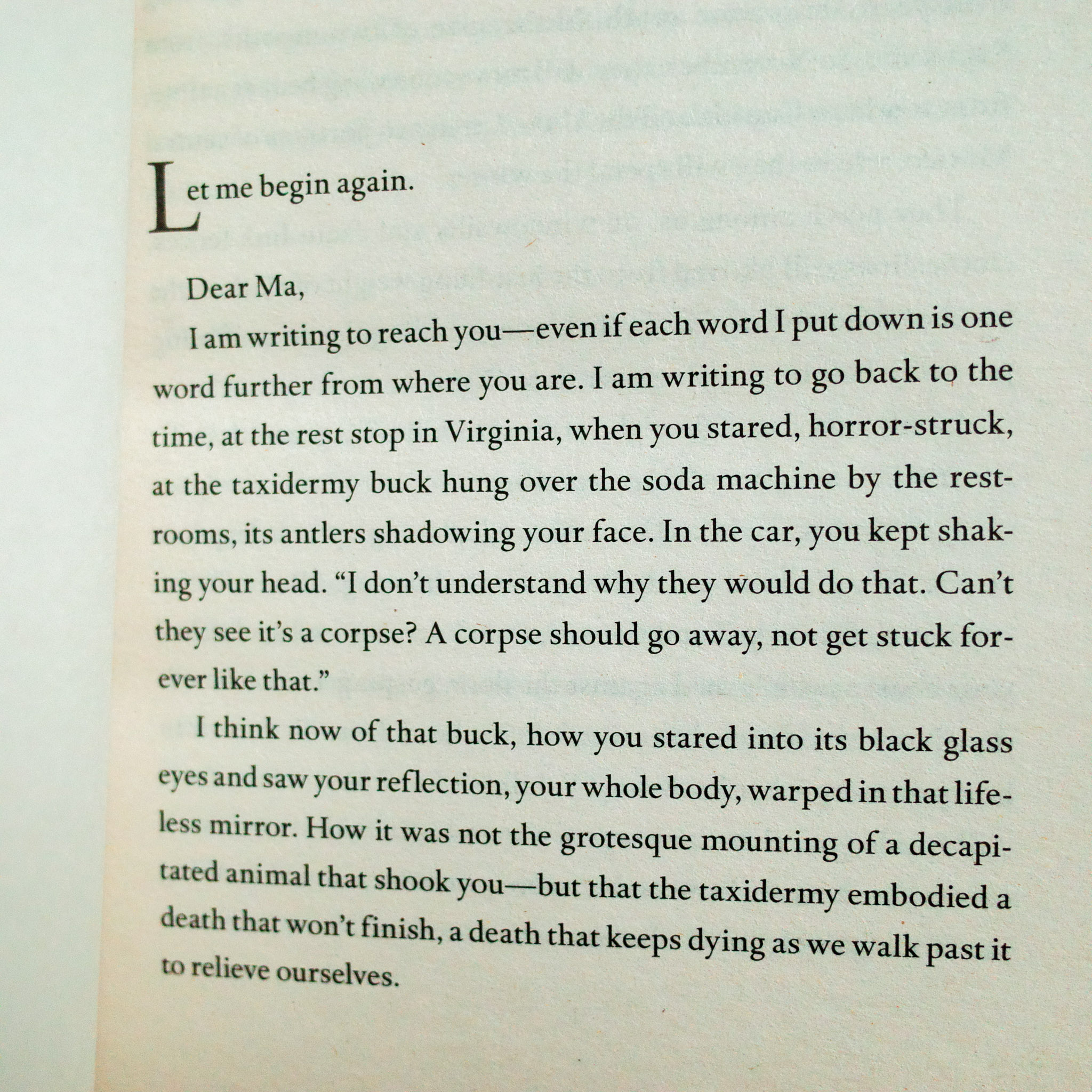 On Earth We're Briefly Gorgeous [UK] - Ocean Vuong - Moonbird