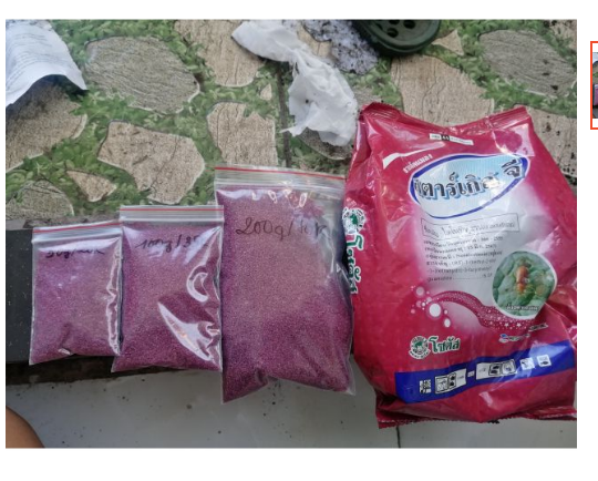 Bột Diệt rệp tím Thái Lan 50gram  (Đóng rời)