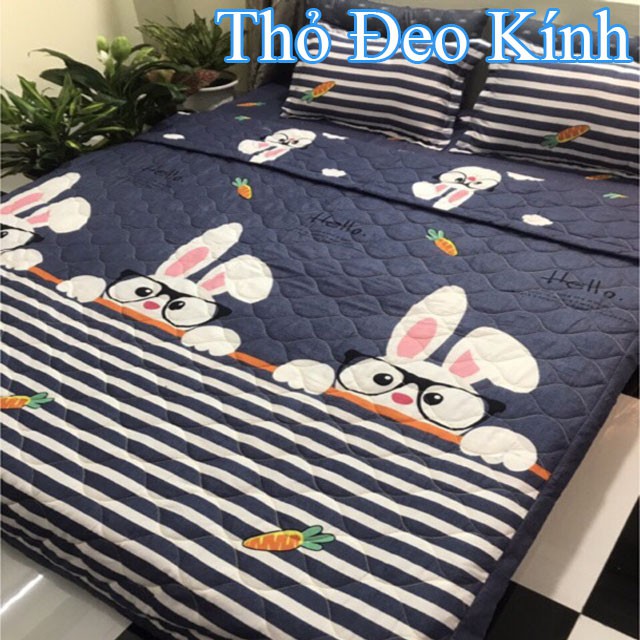 Chăn Hè Chần Bông Cotton Poly