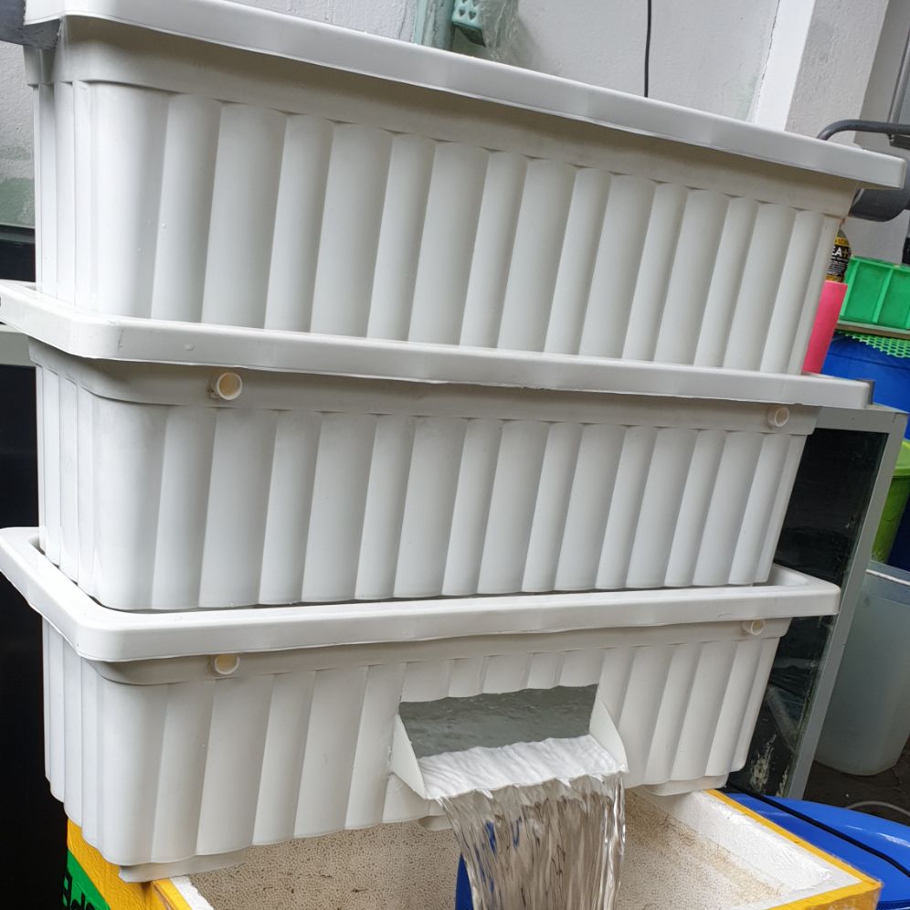 [HCM]BAKI lọc hồ cá kt 63x22x55 drc