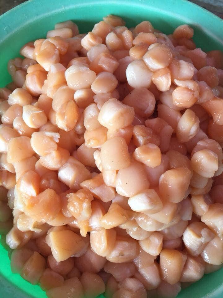 Ruốc cơ trai Vân Đồn Bavabi 100g