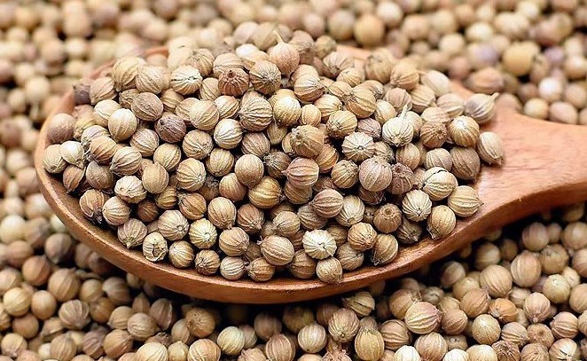 Hạt Ngò - 100gr