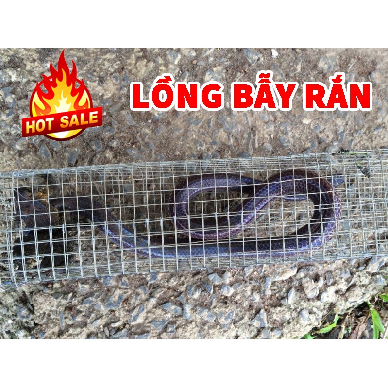 Lồng bẫy rắn Size 80cm x 12cm