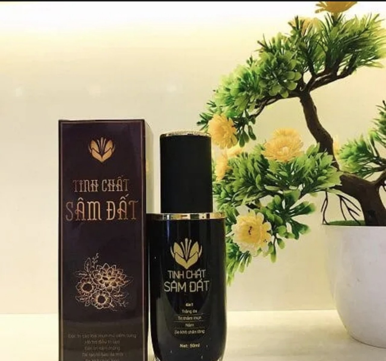 Tinh chất sâm đất tái tạo da triệt tiêu tất cả các loại mụn.