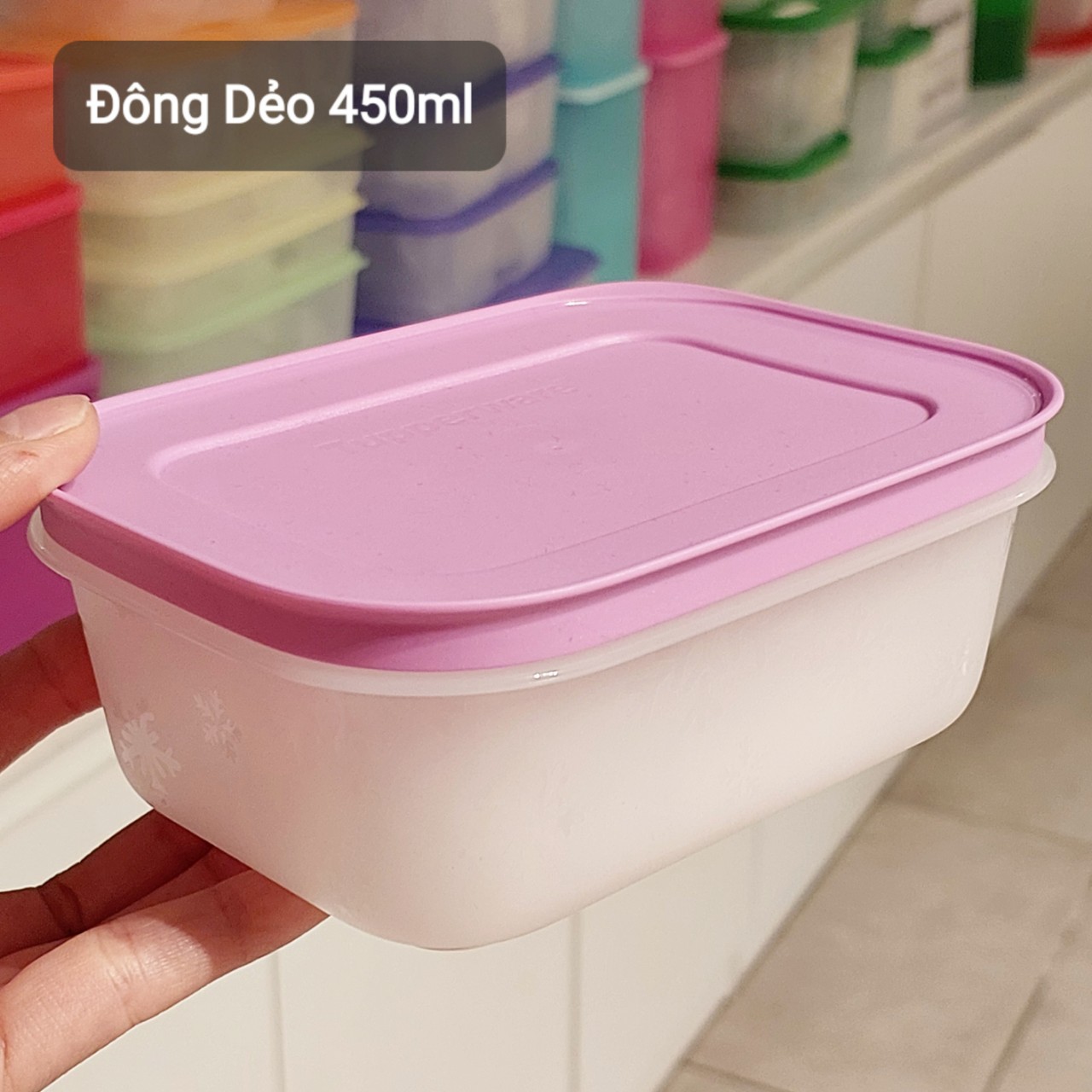 BỘ HỘP TRỮ ĐÔNG TUPPERWARE VIOLET (6)