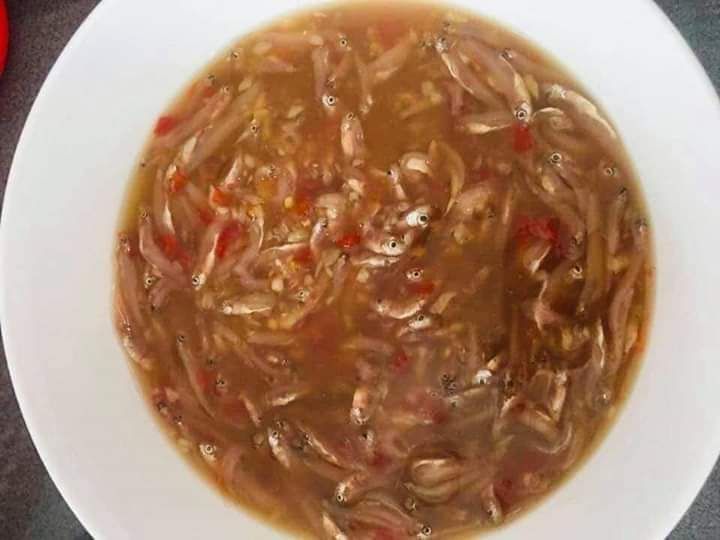 Mắm cá cơm 500g bao ngon