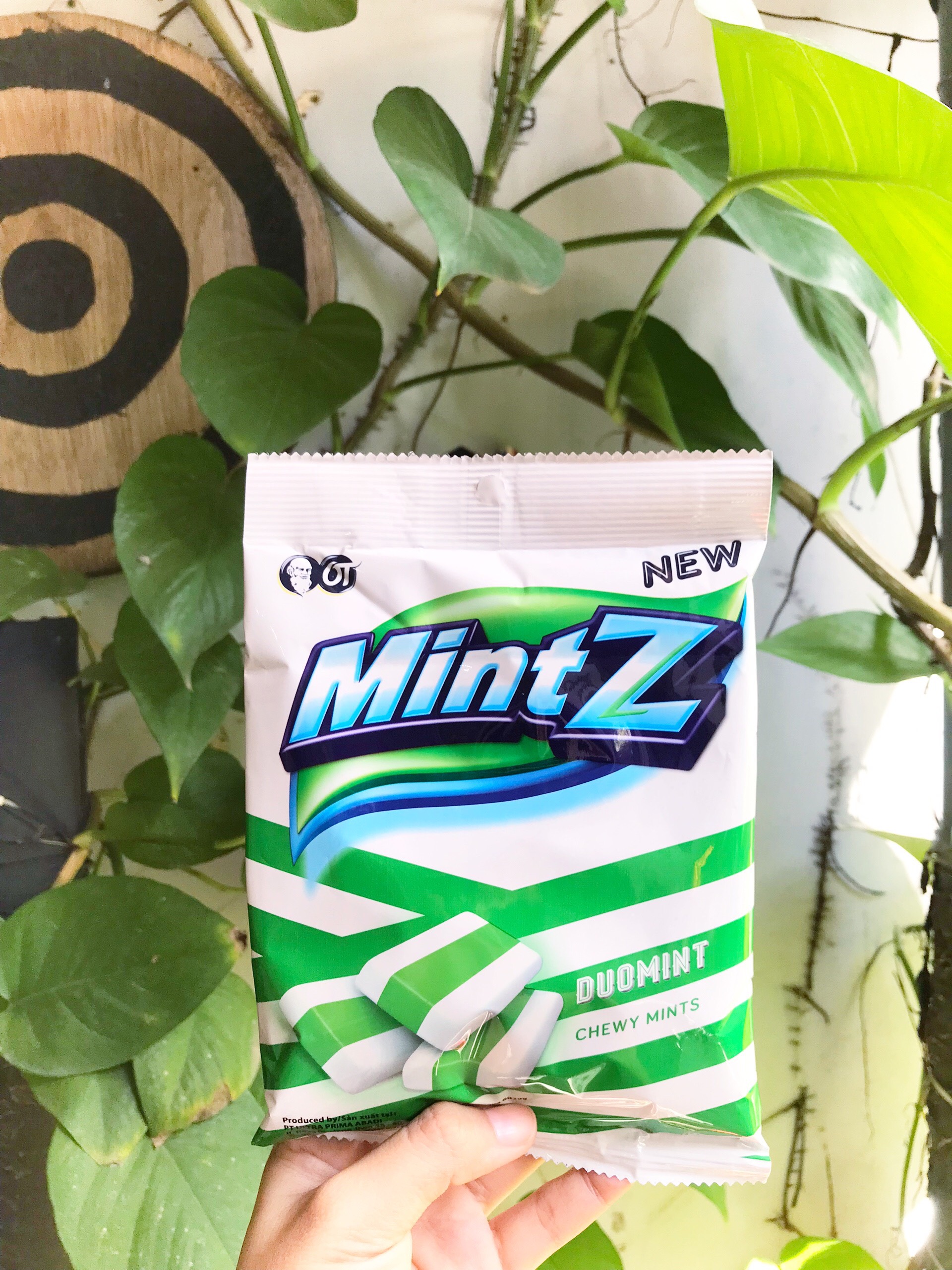 Mintz Duomint Chewy Mints Mint Flavor (115g Pack-Leaf)