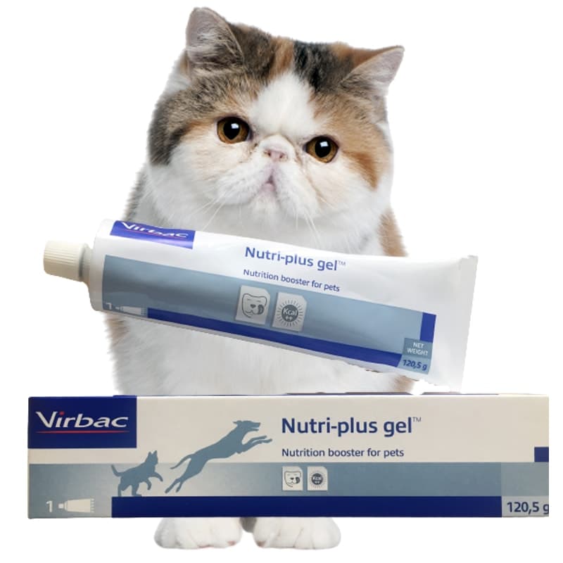 Gel dinh dưỡng Nutri-plus, hiệu Virbac