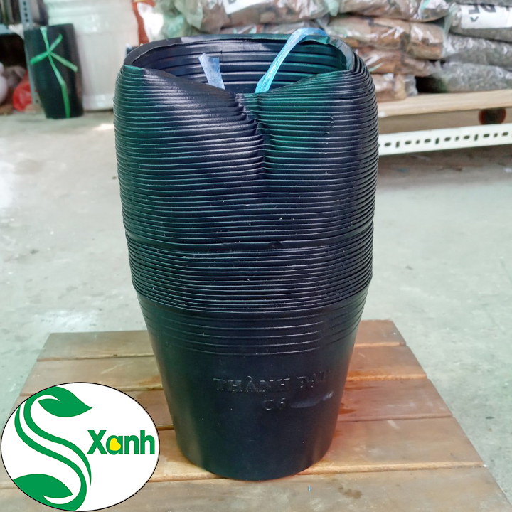 50 Chậu Nhựa Đen Trồng Cây C6