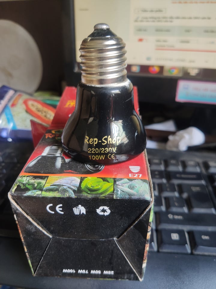 [HCM]Đèn sưởi nhỏ gọn cho vật nuôi