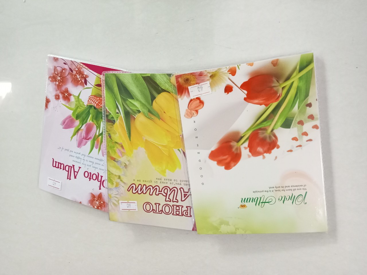 ALBUM ĐỰNG HÌNH 15*21 ĐỂ 40t ,60 t *15*21