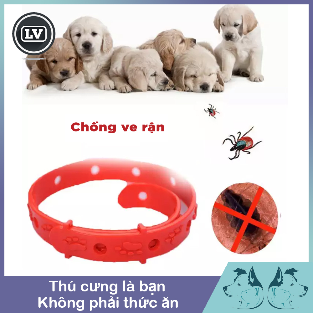 Vòng cổ cho chó mèo - vòng cổ chống ve rận cho chó dưới 4kg