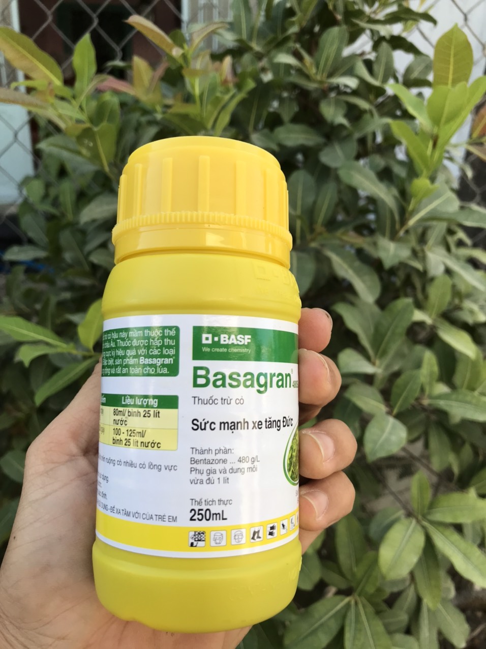 Đặc trừ cỏ cháo chác cỏ lá rộng Basagran 480SL