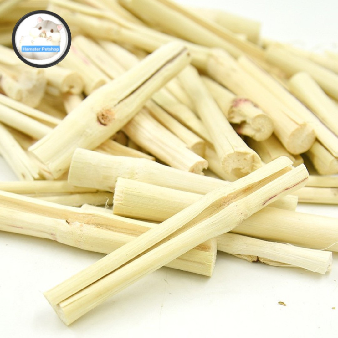 Tre ngọt mài răng cho Hamster , thỏ , bọ , sóc