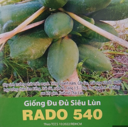 Hạt giống Đu Đủ Siêu Lùn Rado 540