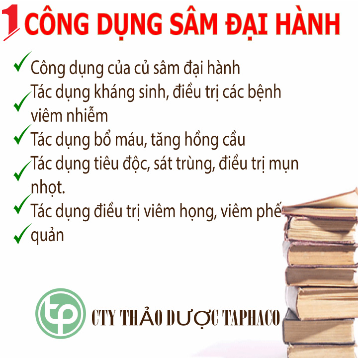 [New Arrivals] Dried Ginseng Root 500g - Tan Phat Herbal - Specialized in Making Tea and Brewing Drinking Water
