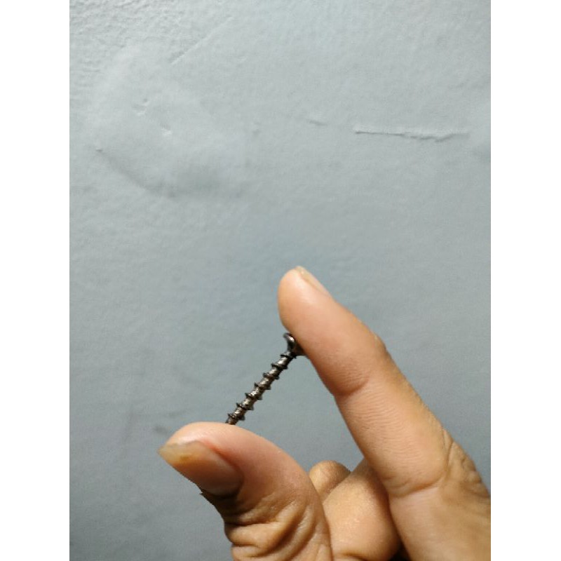 ( HCM ) 100 con Ốc loa kéo - ốc vít bắt Loa