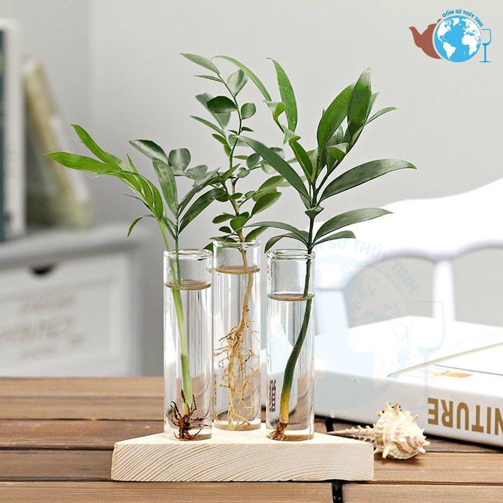 Bình bông lọ hoa dạng óng D6xH16 + TẶNG KÈM DÂY SƠ DỪA TRANG TRÍ