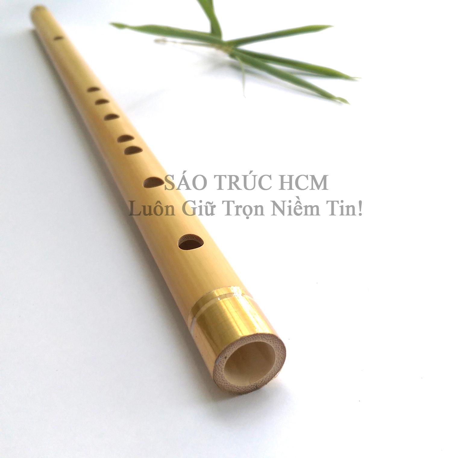 [HCM]Sáo Trúc SN01..
