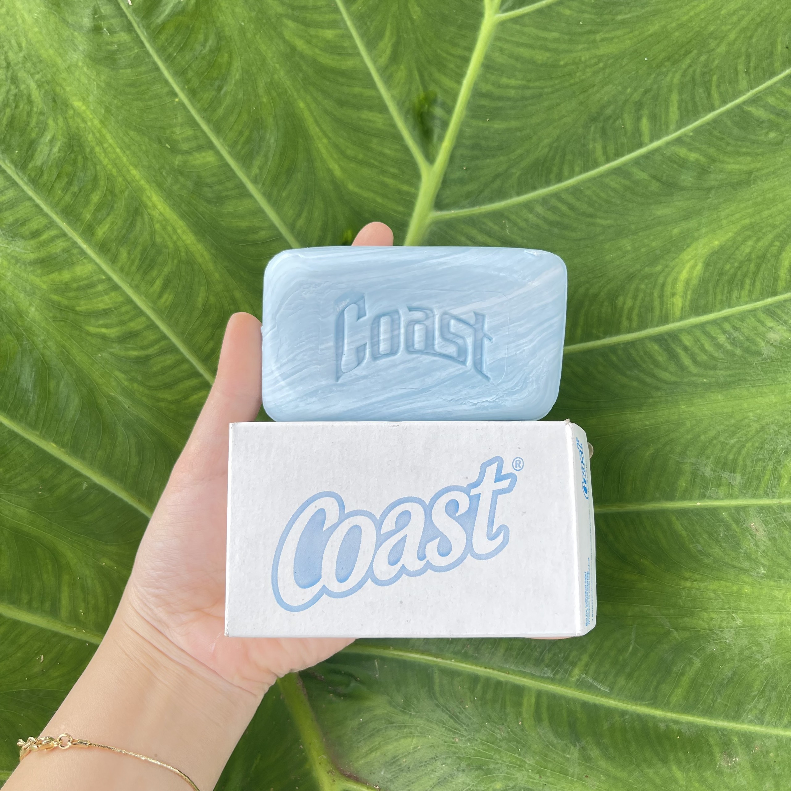 [Chính Hãng] Xà bông cục Coast của Mỹ 113gr