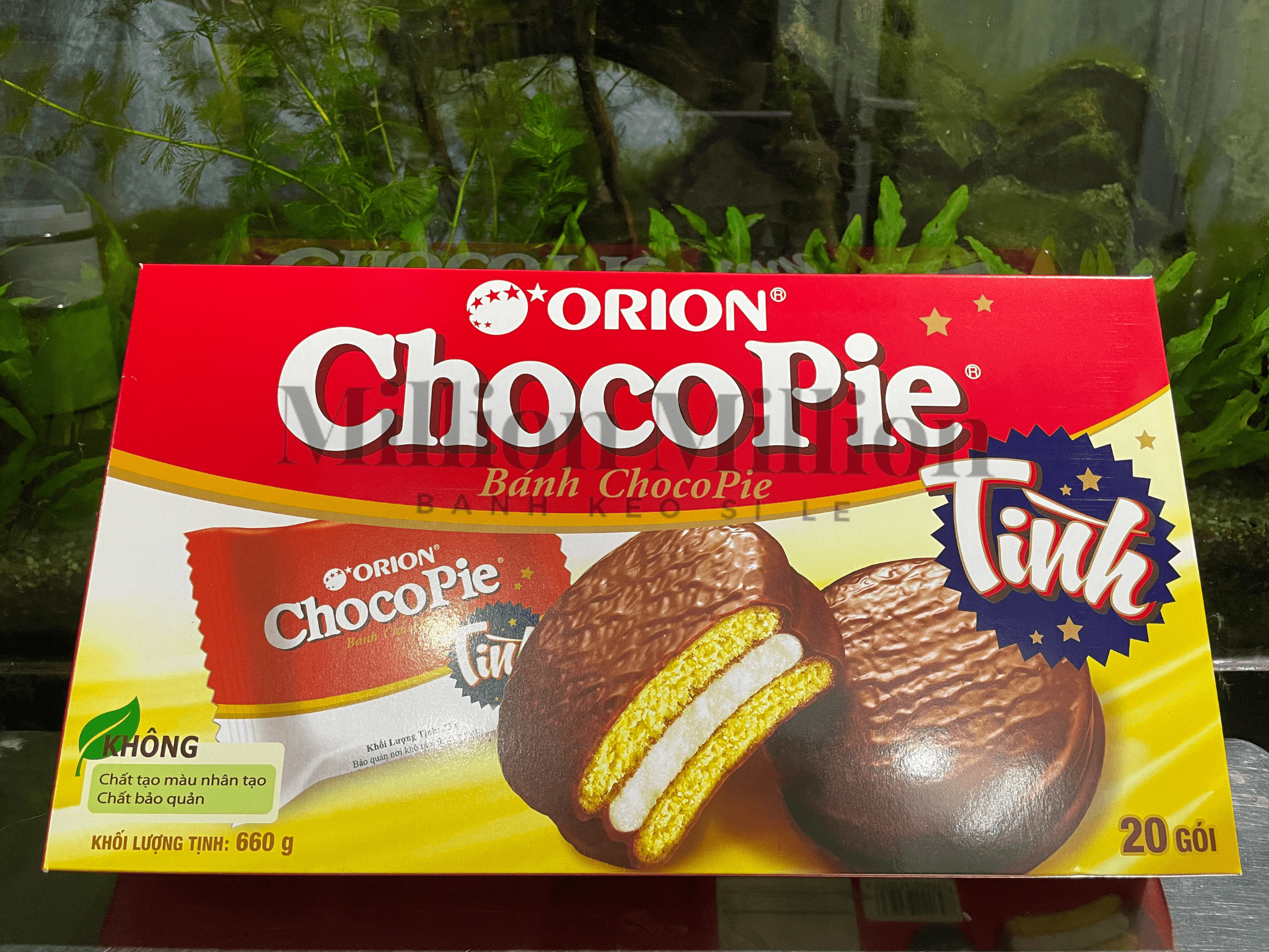 Bánh Choco Pie Orion (Hộp 20 cái)