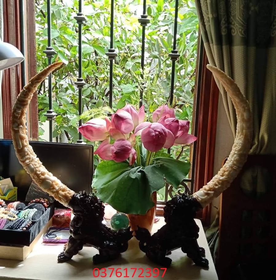 cặp kỳ lân ngậm ngà đá cao cấp