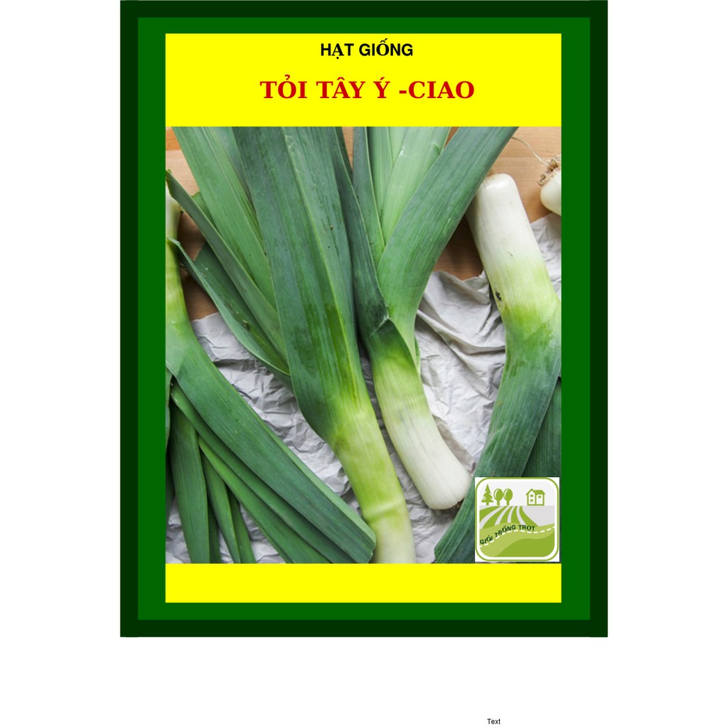 2 Gram - Hạt Giống Tỏi Tây Ý