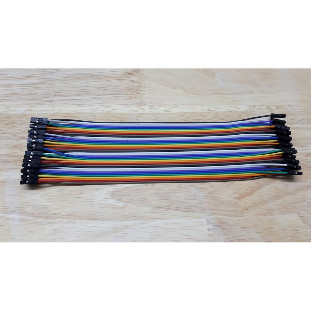 40 Dây Test Board Đực - Cái 20cm (có bán lẻ)