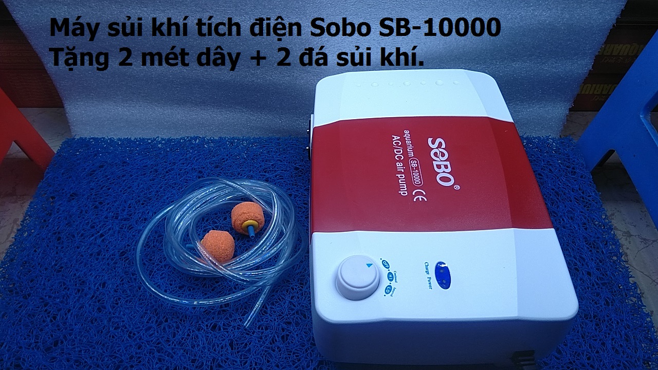 (Tặng phụ kiện) Máy thổi khí tích điện SOBO (SB-10000) dùng cho bể cá.