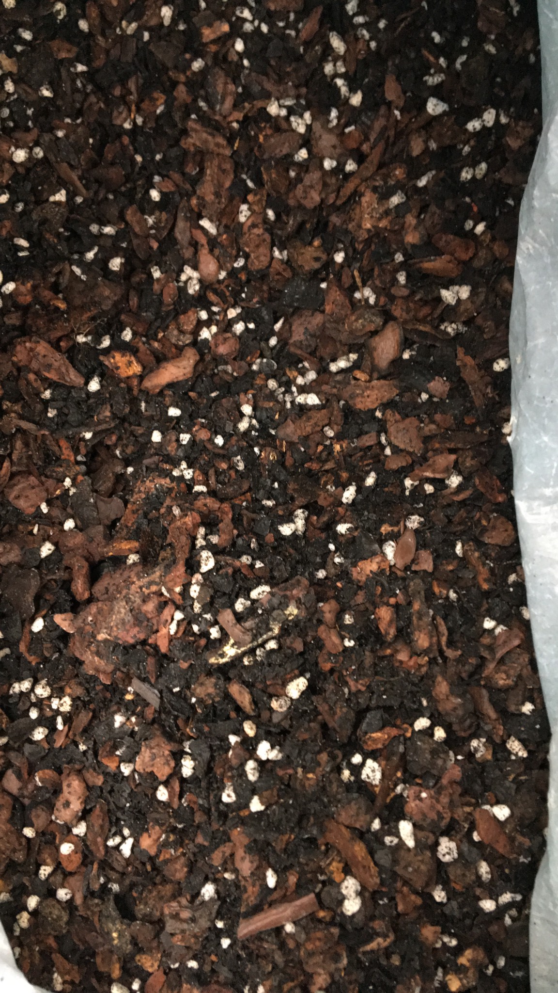 Giá thể trồng Kiếm gói 1 kg