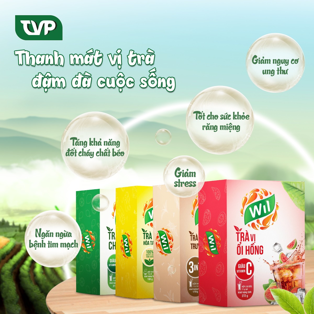 TRÀ HÒA TAN VỊ ỔI HỒNG - WIL