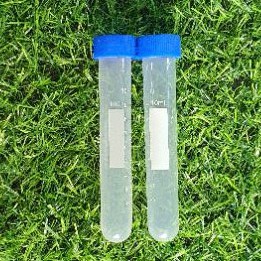 Ống trữ atermia 3ml 10ml 15ml Siêu rẻ