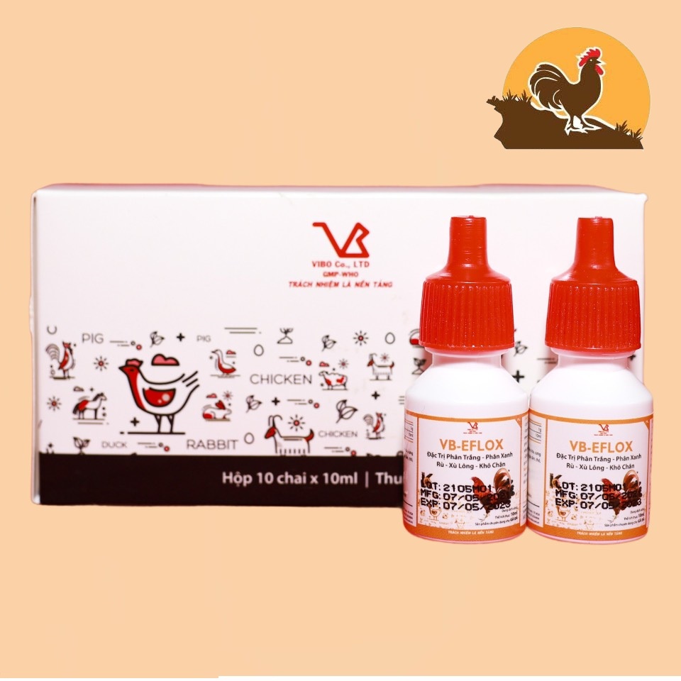 VB-EFLOX -10 LỌ X 10 ML phân trắng, phân xanh, rù, xù lông