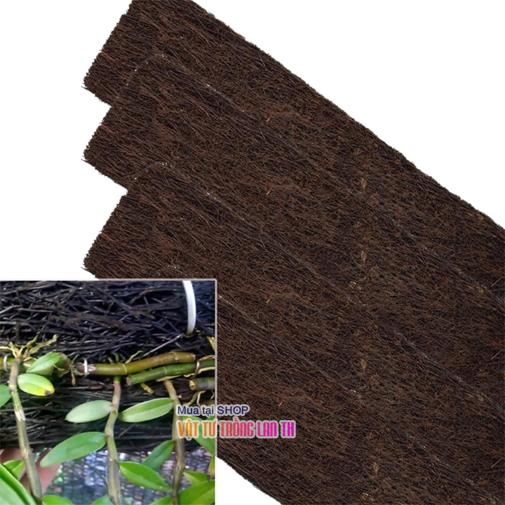 Bảng dớn trồng Lan kích thước 60x20x4cm