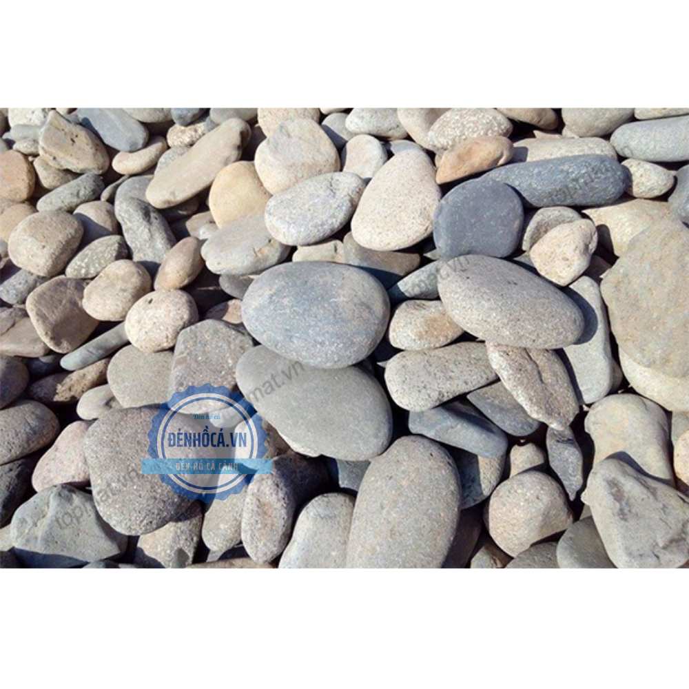 Sỏi trang trí hồ cá mini