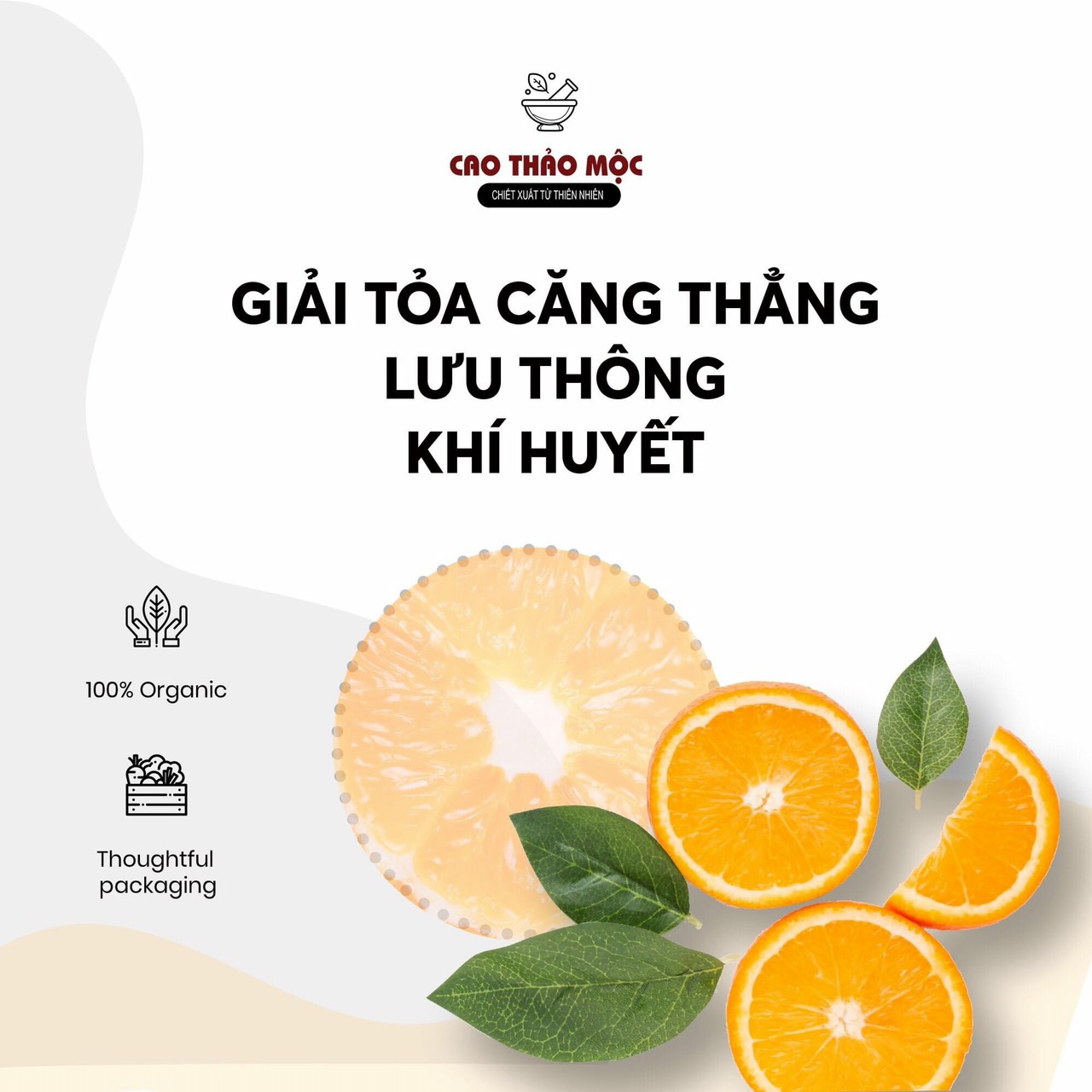 CAO XÔNG THẢO MỘC 100ml [ Bảo Vệ Sức Khỏe Mùa Covid ]
