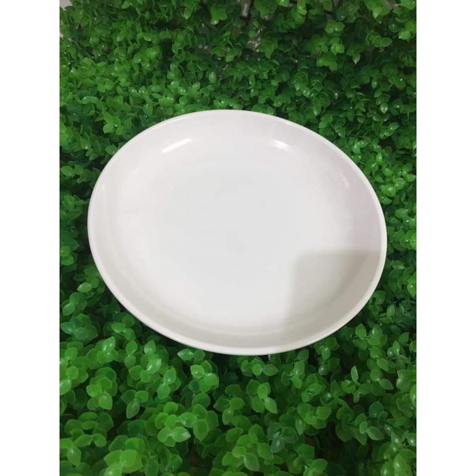 đĩa sứ màu trắng vuông 21cm