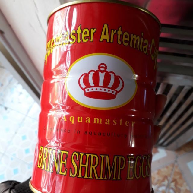 Artemia Lon Đỏ- Trứng Atermia Ấp Nở ( Loại 1 )(Chiết hủ 100gr)