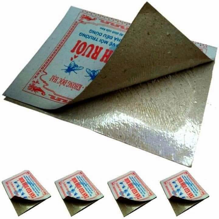 Set 10 Tấm Keo Dính Ruồi